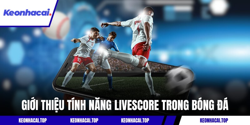 Giới thiệu tổng quan về tính năng livescore trong bóng đá