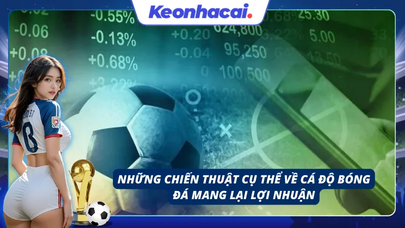 Những cách cá độ bóng đá cụ thể và mang lại lợi nhuận từ nó