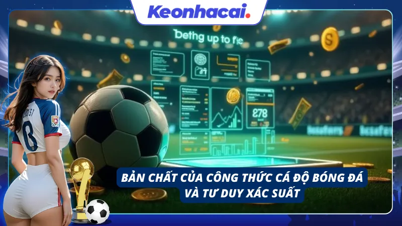 Nền tảng số học giúp nhận diện cơ hội chiến thắng