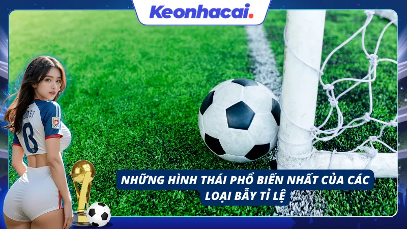 Các dạng bảng cược bất thường gây nhầm lẫn