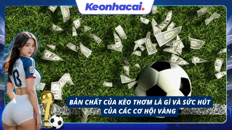 Những cơ hội gia tăng lợi nhuận cực cao từ bảng cược