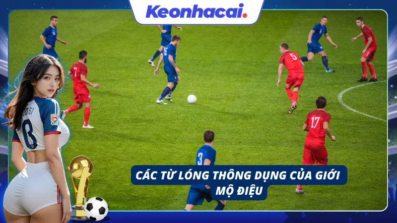 Các từ lóng về thuật ngữ cá cược bóng đá của giới mộ điệu
