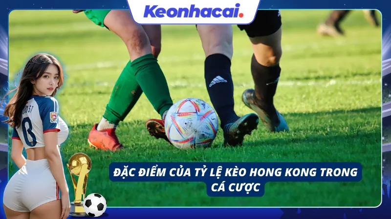 Đặc điểm của tỷ lệ cược HongKong là gì là điều cần nắm