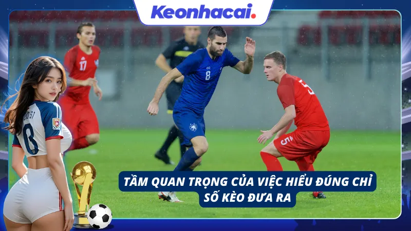 Tầm quan trọng của việc hiểu được tỷ lệ cược là gì